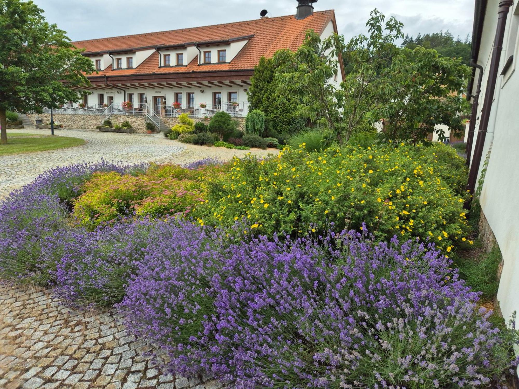 Hotelový a jezdecký areál Dvůr Krutěnice Exterior foto