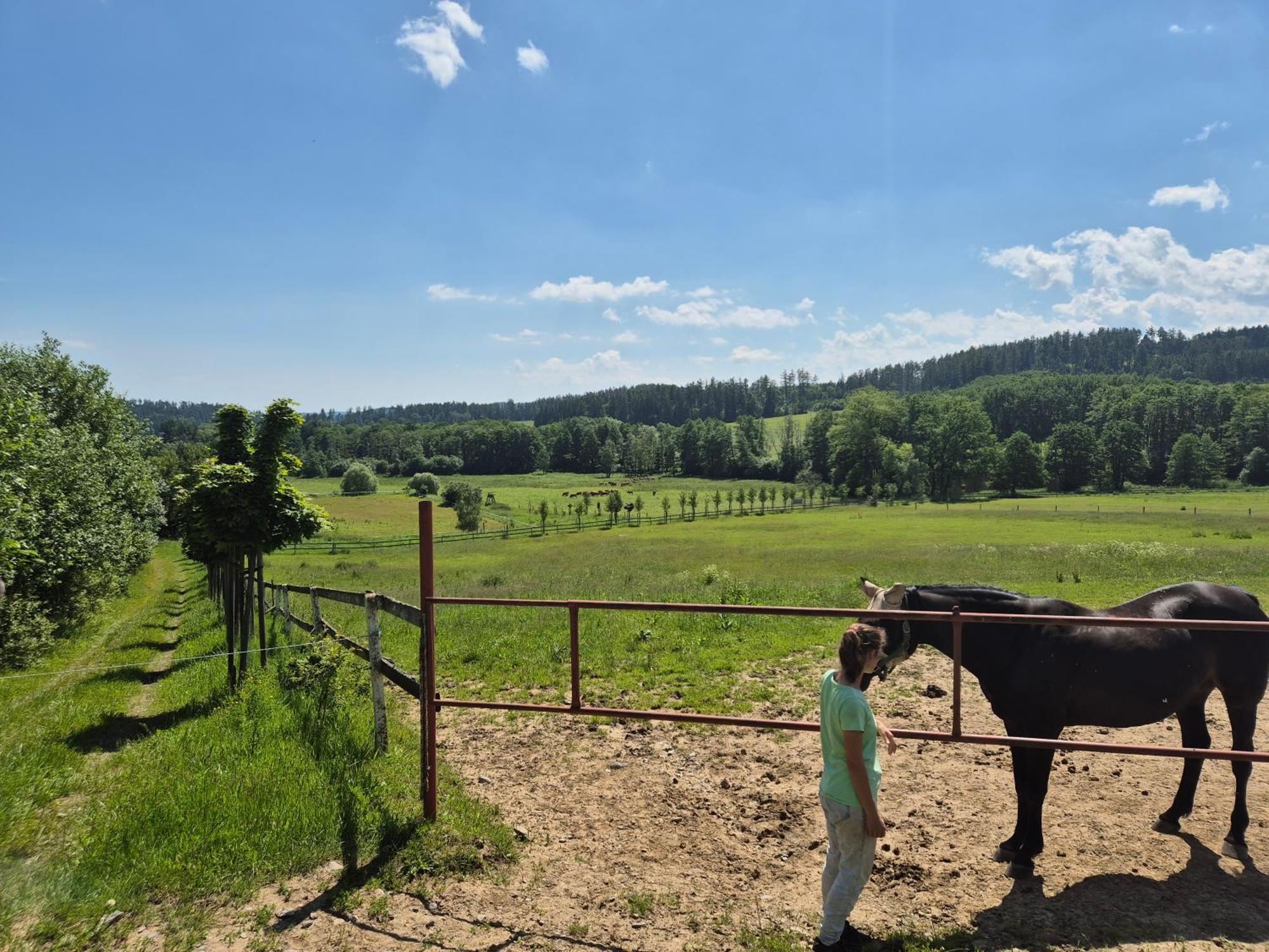Hotelový a jezdecký areál Dvůr Krutěnice Exterior foto