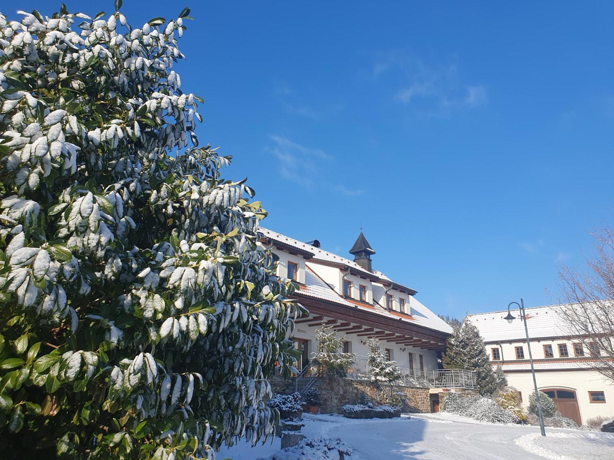 Hotelový a jezdecký areál Dvůr Krutěnice Exterior foto
